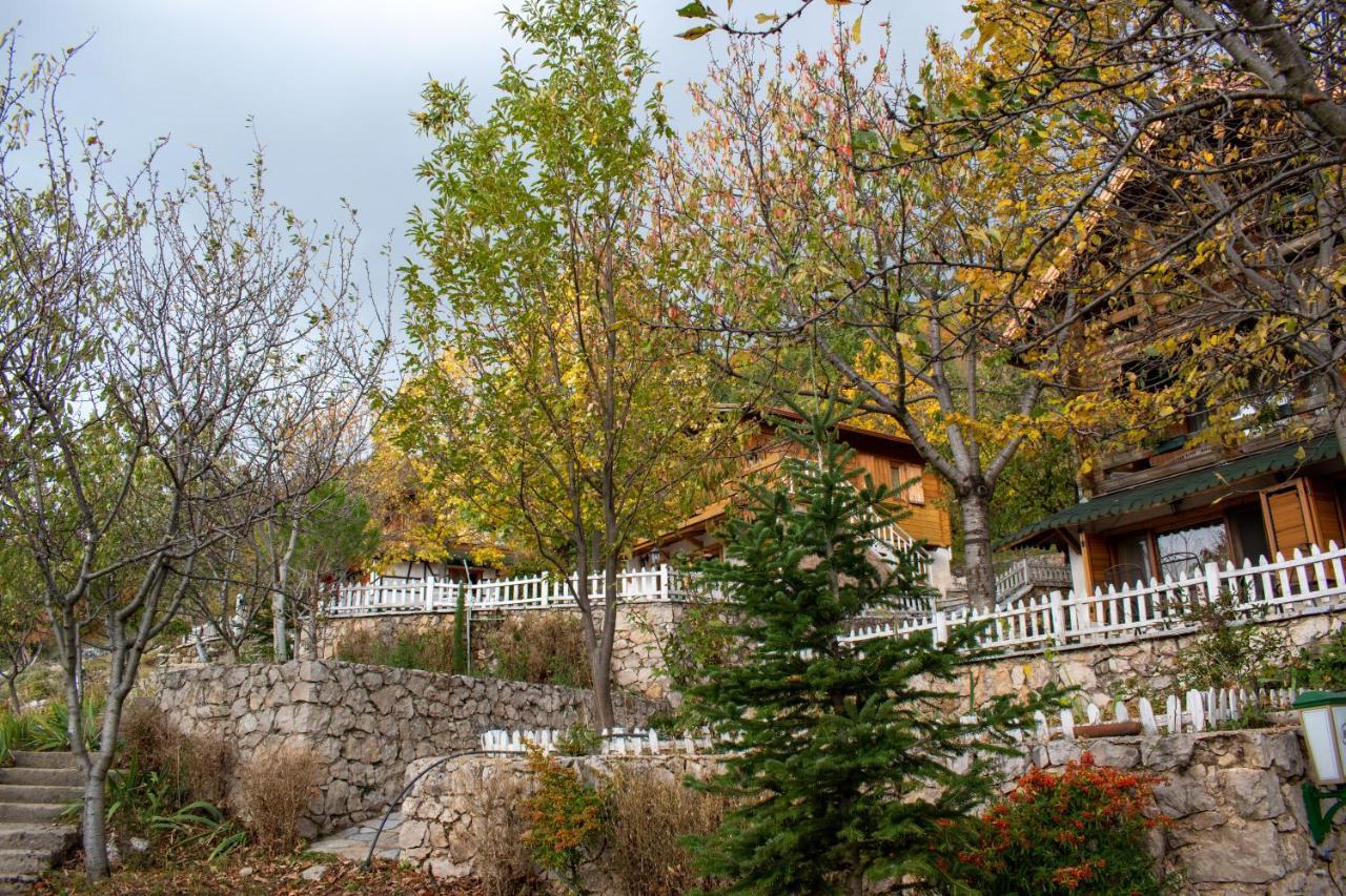 Dajti Paradise Resort Buitenkant foto